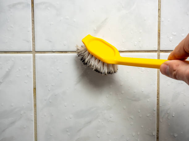 Best Kitchen Mold Remediation in Claremore, OK