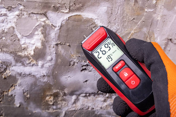 Best Health and Safety Mold Remediation in Claremore, OK