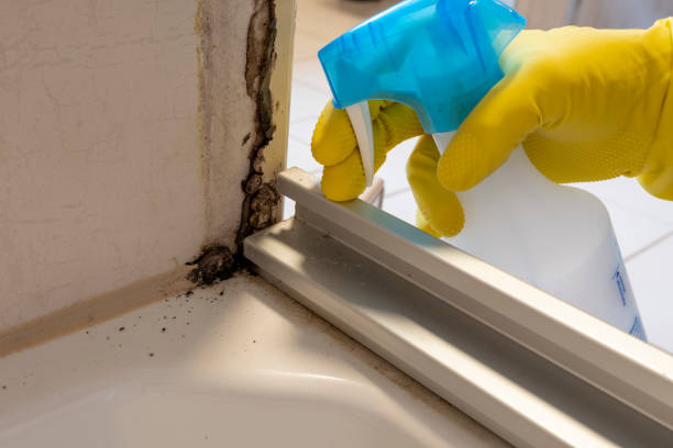 Best DIY Mold Remediation Support Services in Claremore, OK